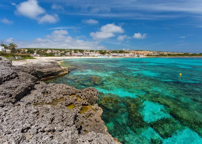 Water Front Shalom *